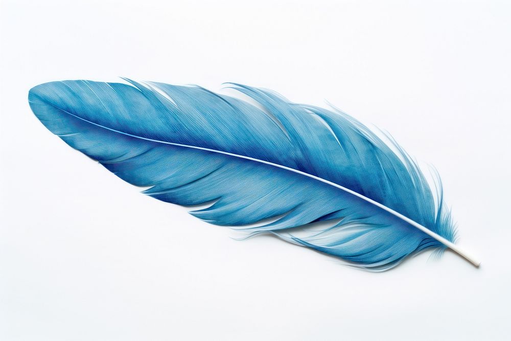Blue feather leaf white background lightweight. AI generated Image by rawpixel.