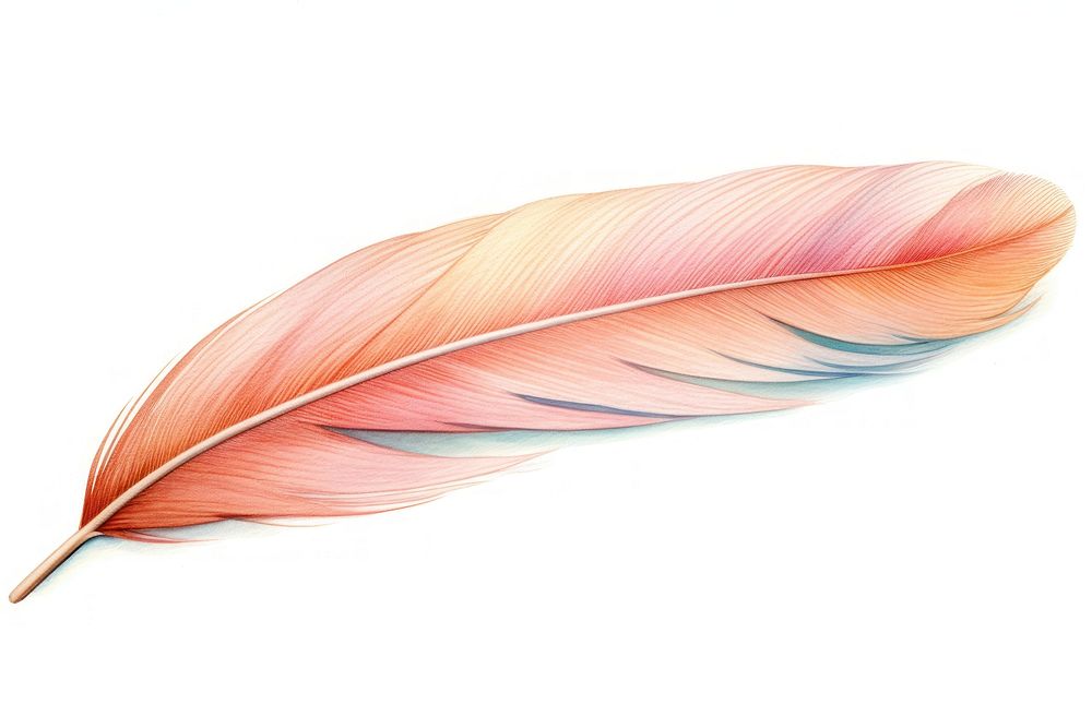 Feather petal leaf white background. AI generated Image by rawpixel.