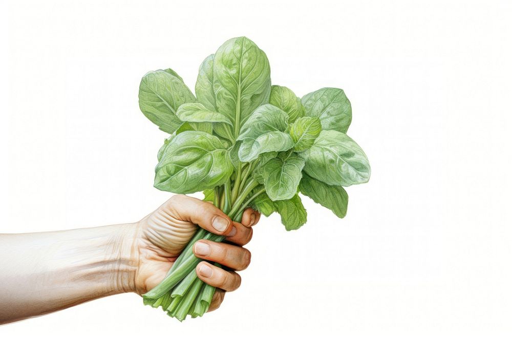 Female gardener vegetable spinach plant. AI generated Image by rawpixel.