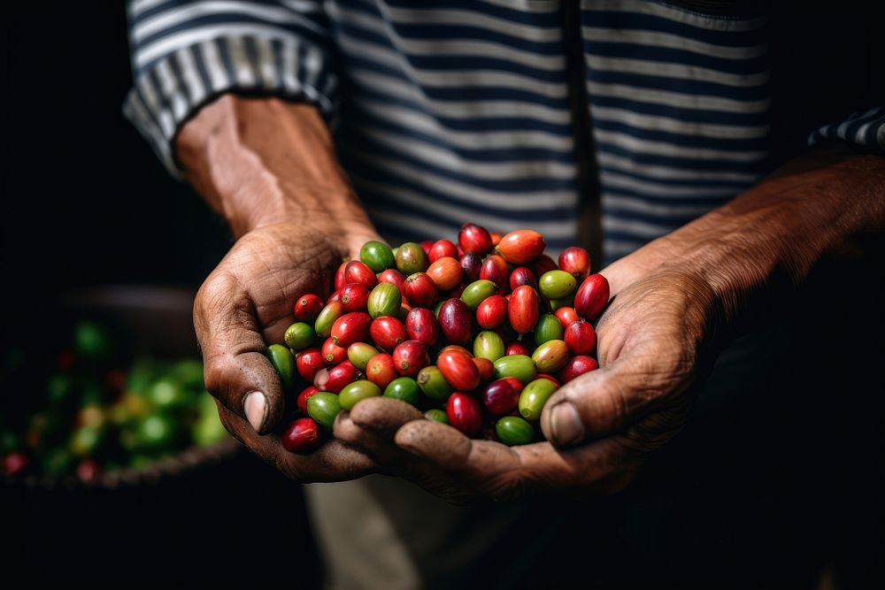 Coffee beans farmer adult hand. AI generated Image by rawpixel.