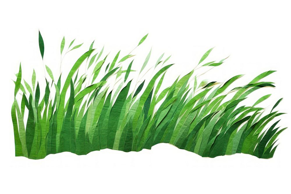 Green grass plant leaf white background. AI generated Image by rawpixel.