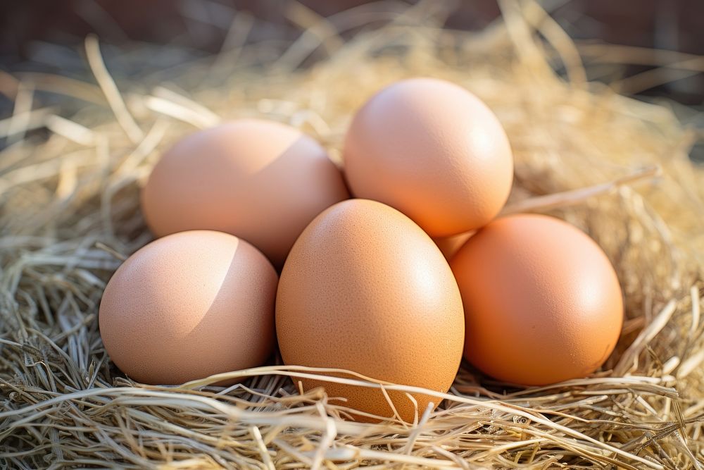 Eggs food hay agriculture. AI generated Image by rawpixel.