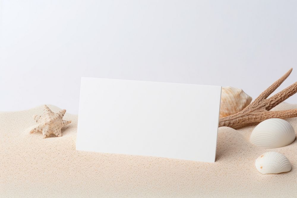 White business card seashell paper sand. 