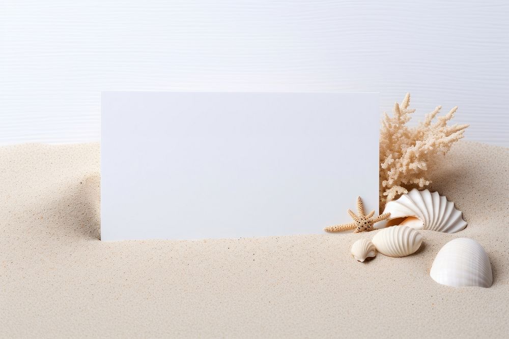 Business card seashell sand invertebrate. AI generated Image by rawpixel.