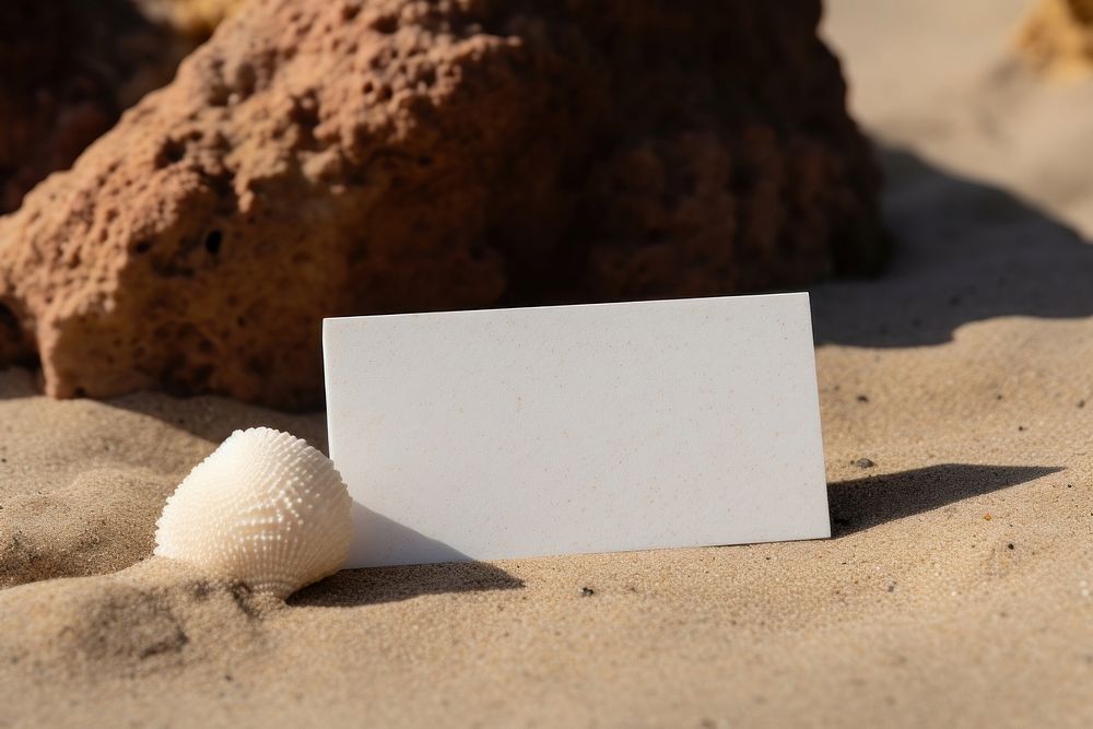 Business card sand outdoors seashell. AI generated Image by rawpixel.