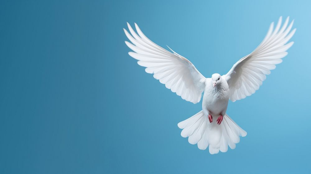 Flying dove animal bird wildlife. AI generated Image by rawpixel.