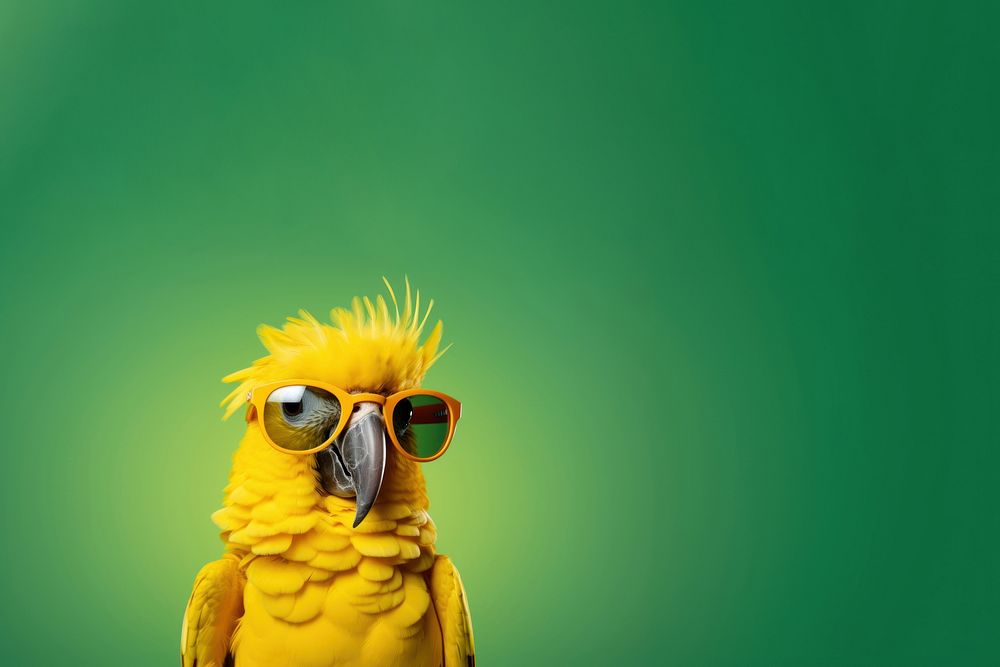 Kids wearing streetwear portrait fashion parrot. AI generated Image by rawpixel.