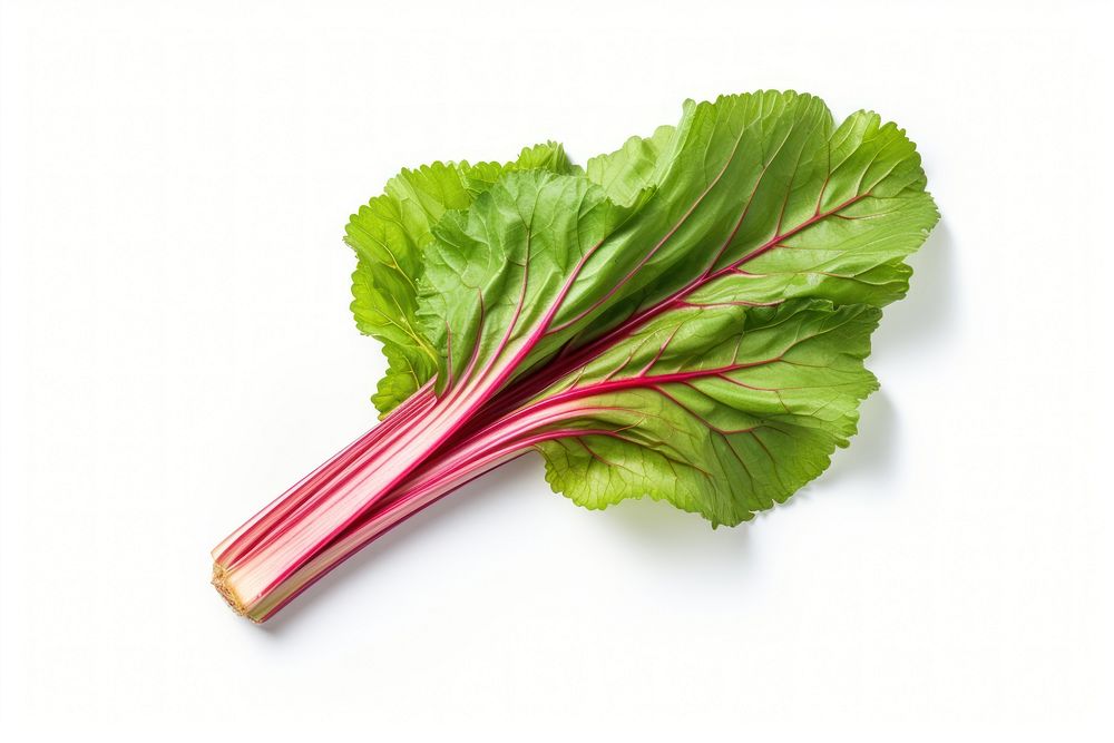 Vegetable rhubarb plant food. AI generated Image by rawpixel.