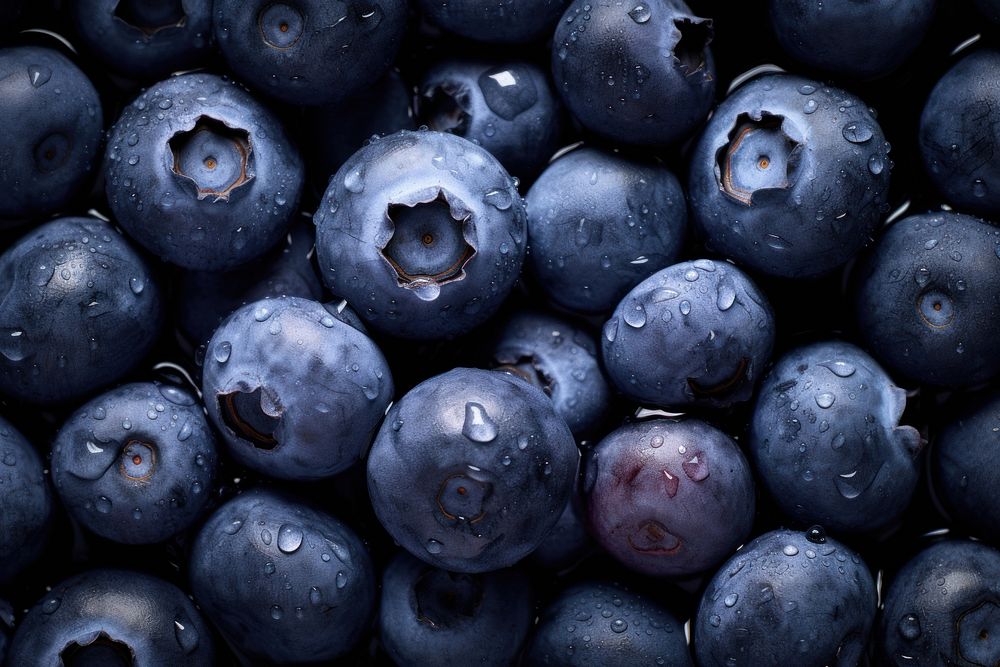 Blueberries blueberry fruit plant. AI generated Image by rawpixel.