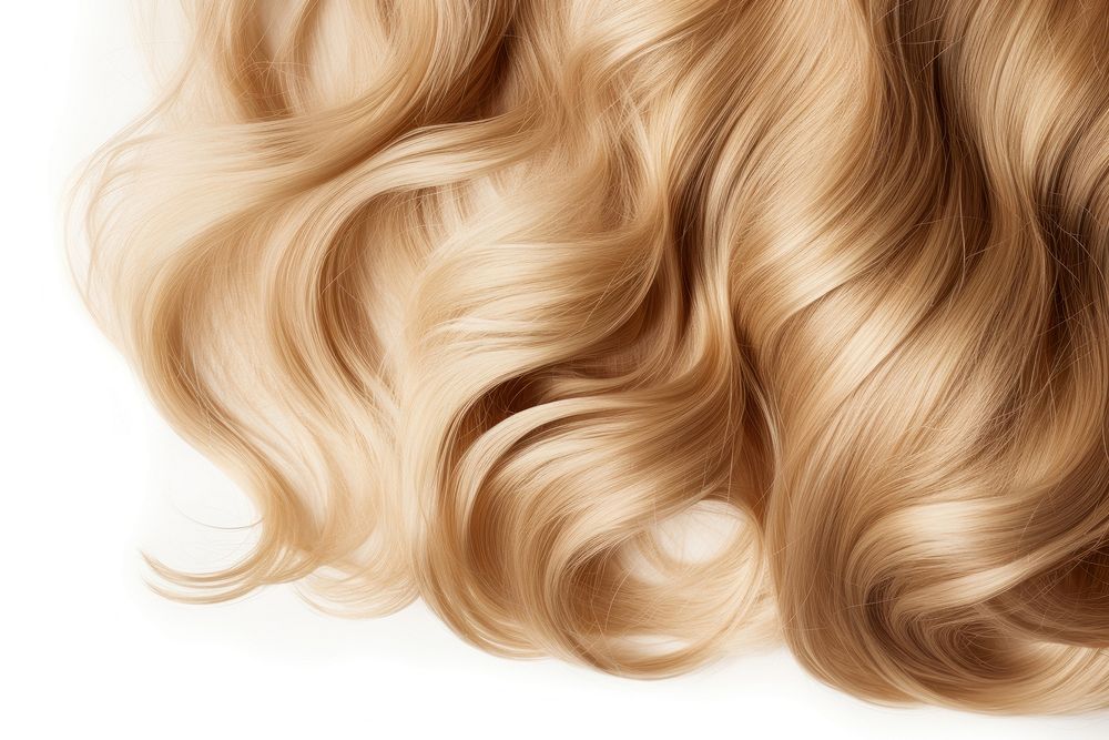 Curly blonde hair backgrounds white background hairstyle. AI generated Image by rawpixel.