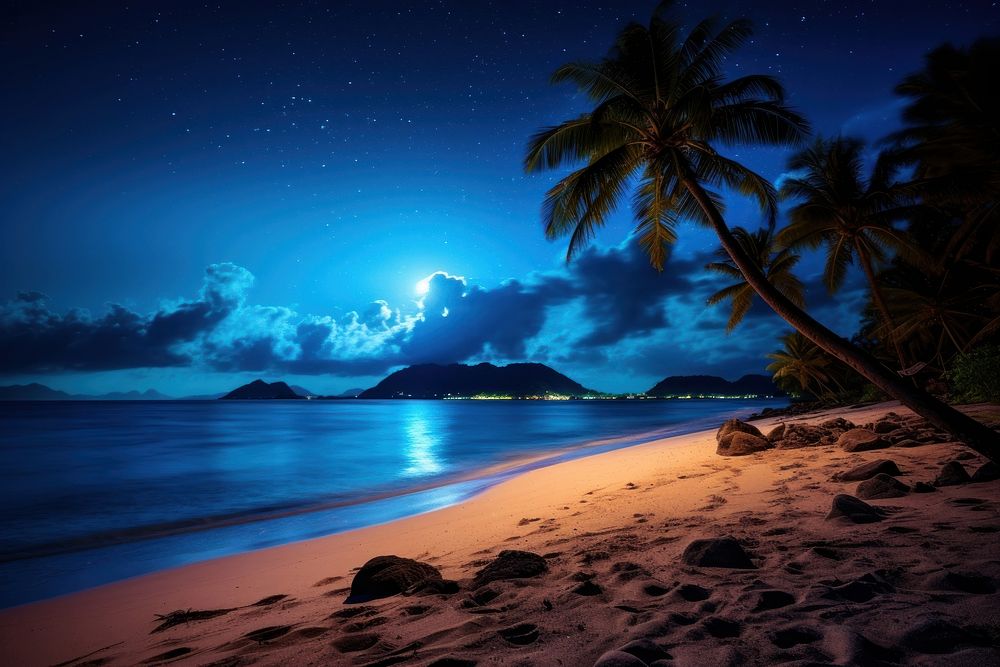 Sandy tropical beach night land landscape. AI generated Image by rawpixel.