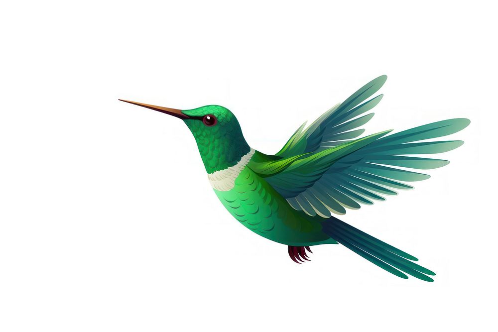 Hummingbird animal white background wildlife. AI generated Image by rawpixel.