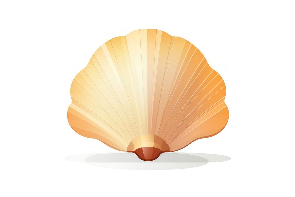 Shell seashell clam white background. AI generated Image by rawpixel.