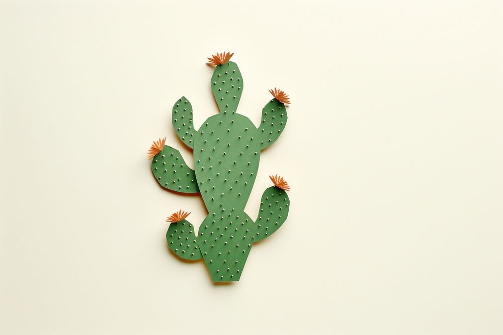 Cactus plant white background representation. 