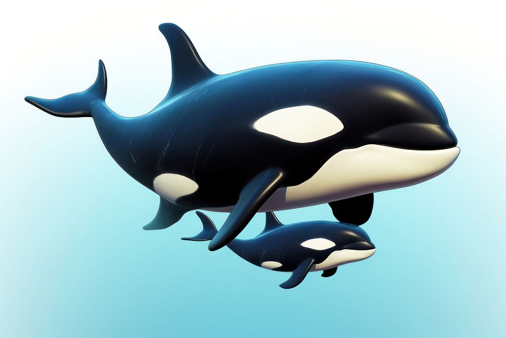 Animal mammal whale orca. 