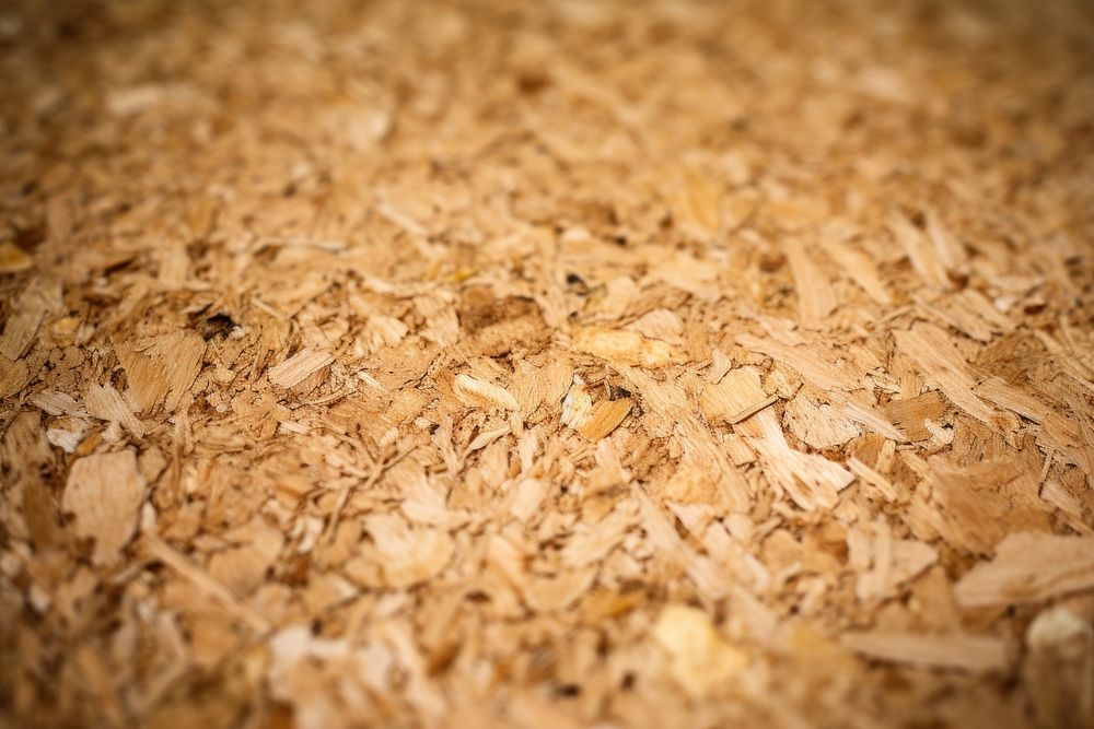 Oriented Strand Board wood leaf backgrounds. AI generated Image by rawpixel.