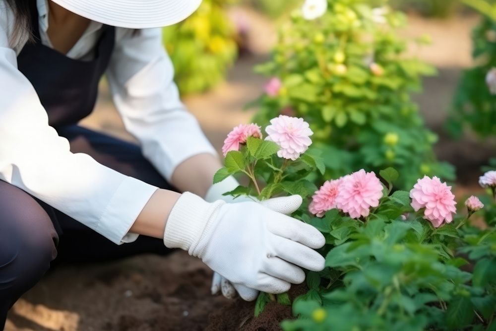 Planting flowers outdoors garden gardening. AI generated Image by rawpixel.