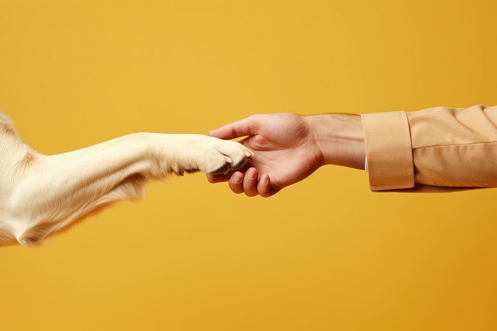 Hand togetherness agreement handshake. AI generated Image by rawpixel.