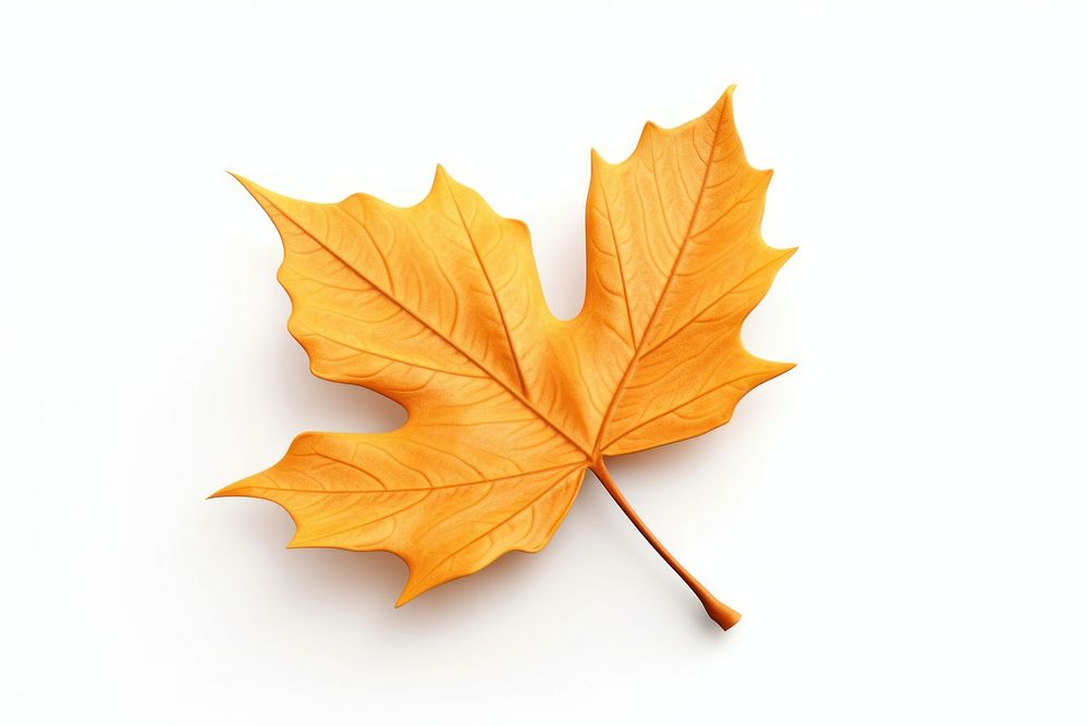 Autumn leaf autumn plant tree. AI generated Image by rawpixel.