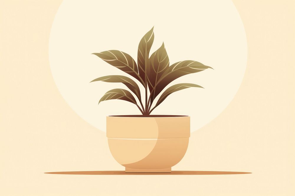 Potted plant leaf houseplant flowerpot. 