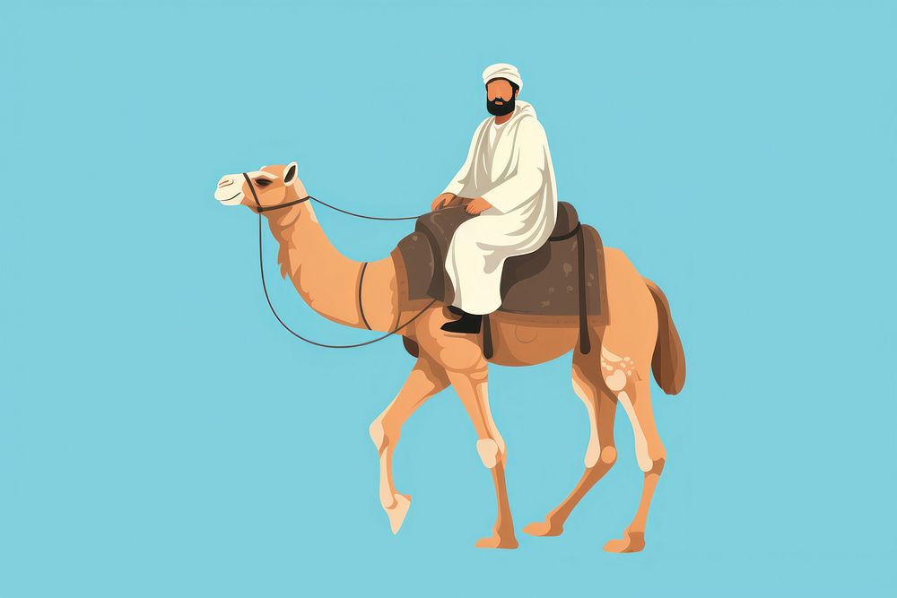 Camel animal mammal riding. 