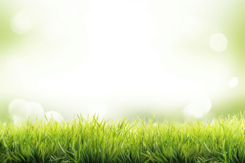 Grass field sunlight outdoors backgrounds. AI generated Image by rawpixel.
