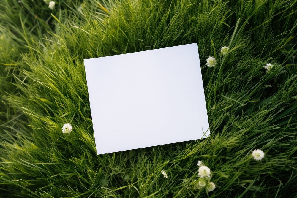 Invitation card grass outdoors nature. 