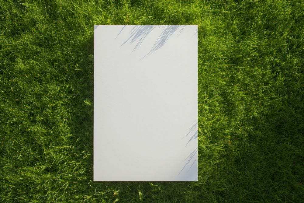 Poster grass outdoors plant. AI generated Image by rawpixel.