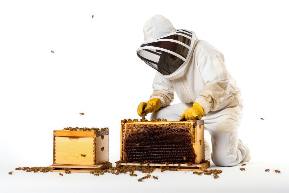 Beekeeper working beekeeper apiary adult. AI generated Image by rawpixel.