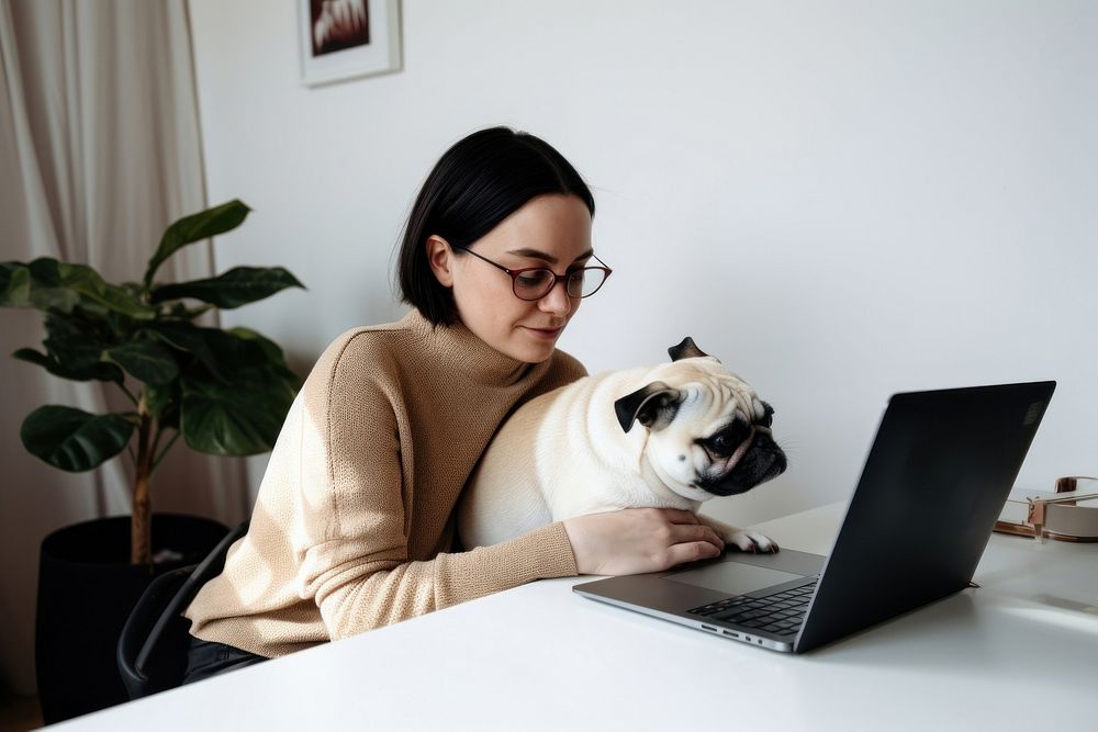 Dog computer sitting animal. 