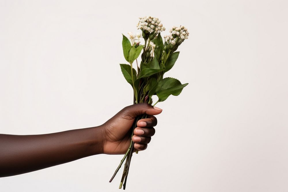 Hand holding flower bouquet finger plant leaf. AI generated Image by rawpixel.