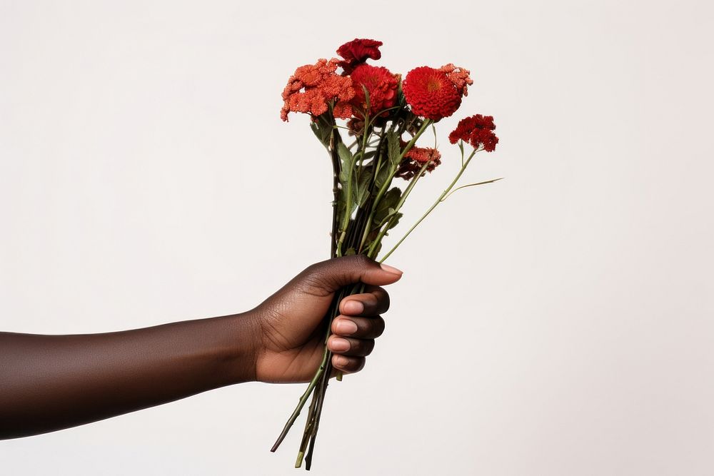 Hand holding flower bouquet finger petal plant. AI generated Image by rawpixel.