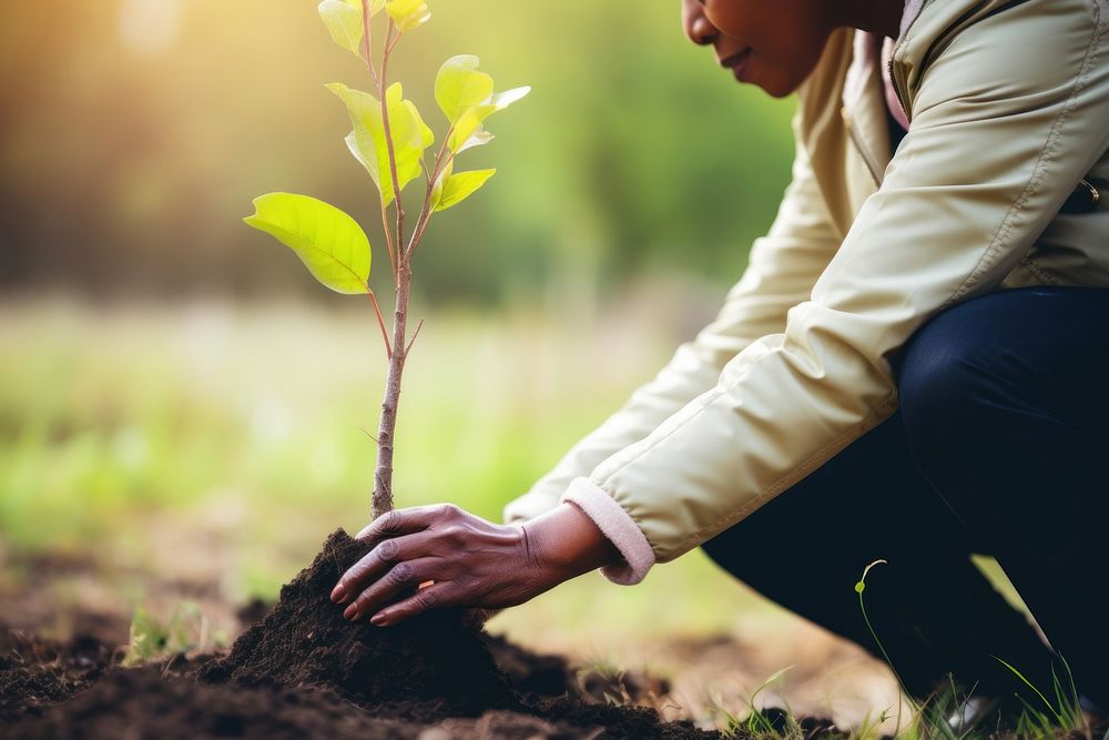 Woman planting a tree outdoors gardening nature. AI generated Image by rawpixel.