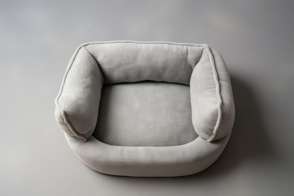 Pet furniture sofa simplicity. AI generated Image by rawpixel.