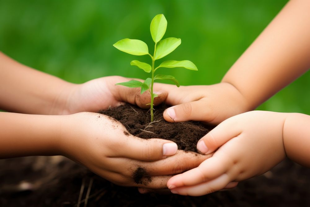 Plants gardening planting outdoors. 