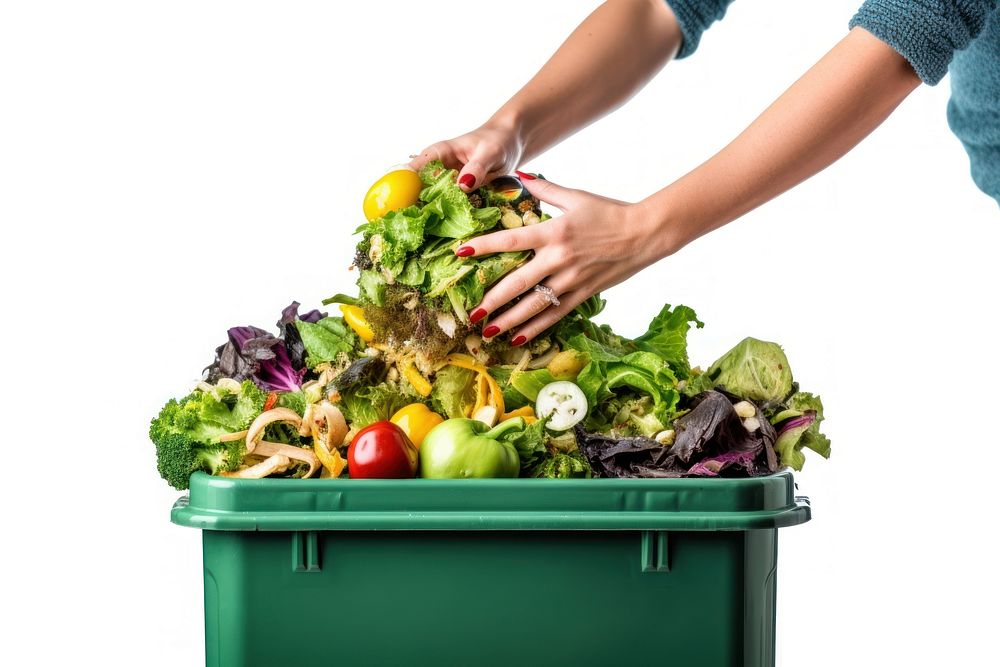 Woman hand recycling organic adult. AI generated Image by rawpixel.