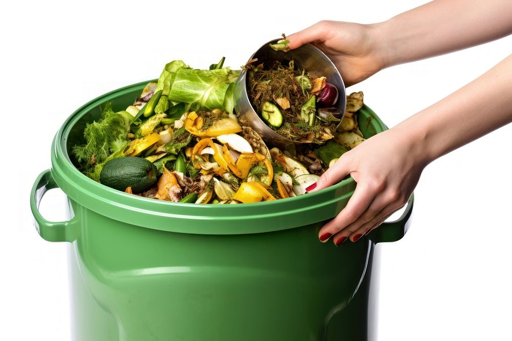 Woman hand recycling container organic green. AI generated Image by rawpixel.