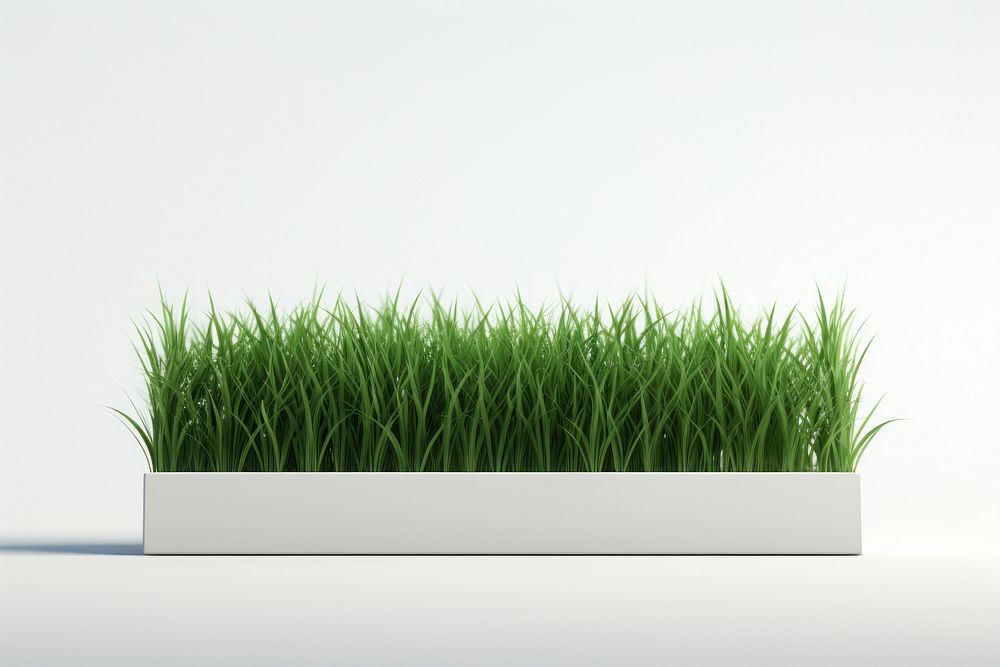 Grass plant wheatgrass vegetation. AI generated Image by rawpixel.