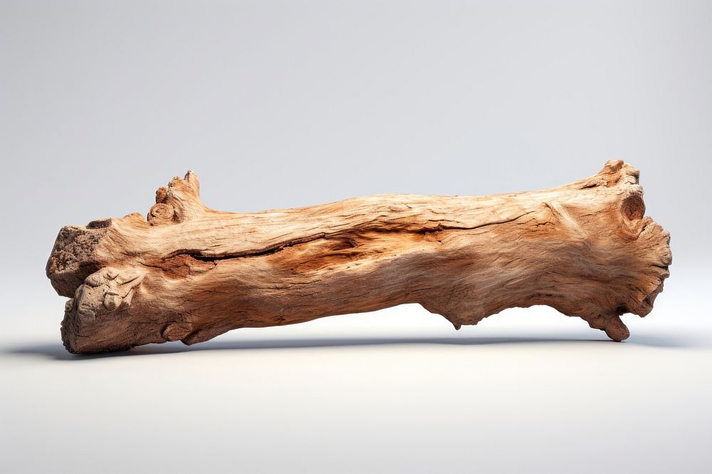 Wood driftwood plant tree. AI generated Image by rawpixel.