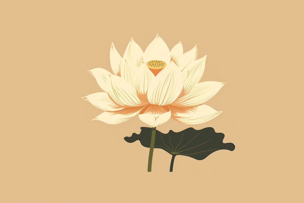 Lotus flower plant leaf. AI generated Image by rawpixel.