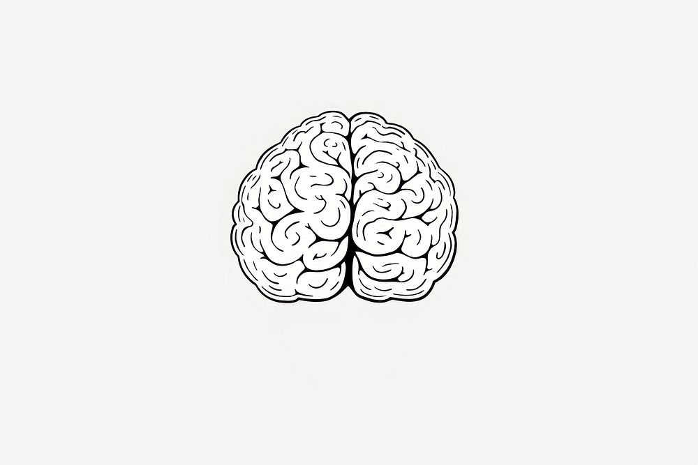 Brain drawing sketch line. AI generated Image by rawpixel.