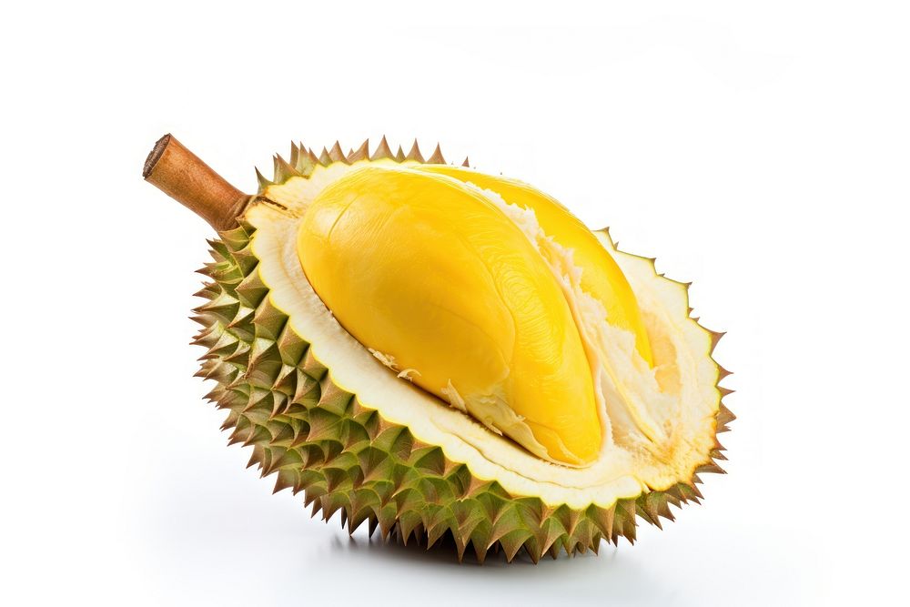 Durian fruit plant food. AI generated Image by rawpixel.