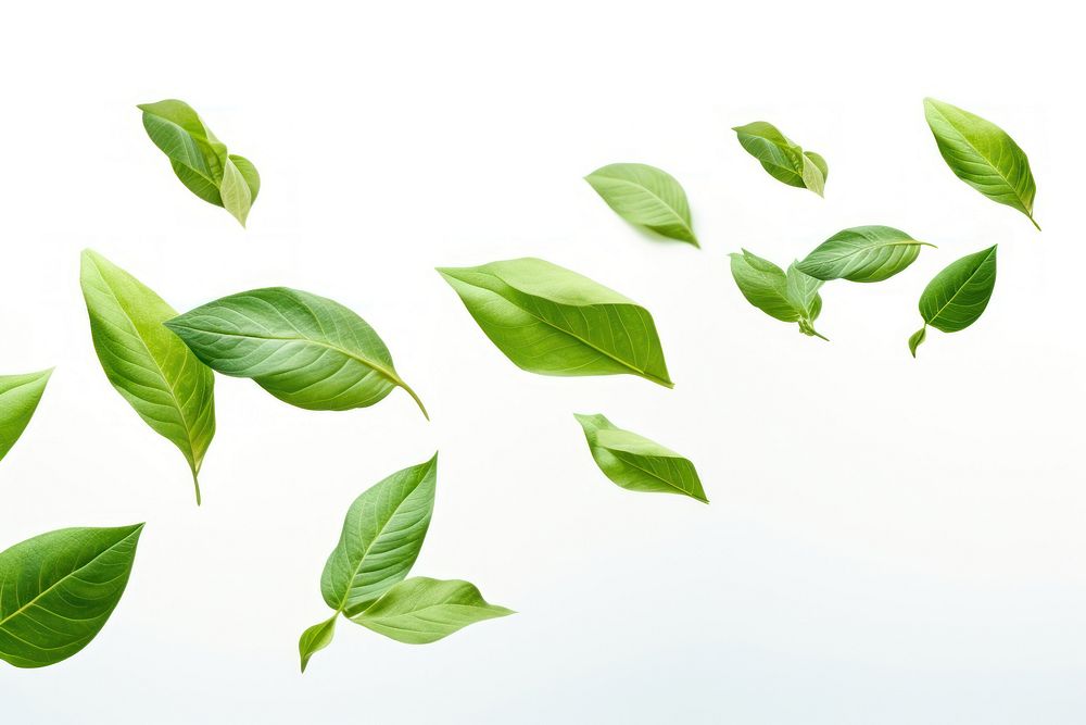 Green backgrounds plant leaf. AI generated Image by rawpixel.