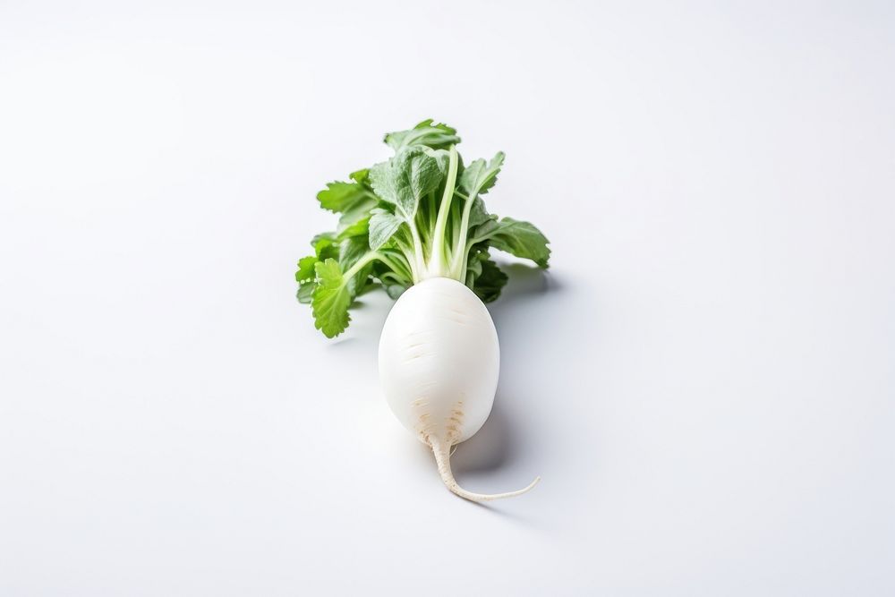 White radish vegetable plant food. AI generated Image by rawpixel.