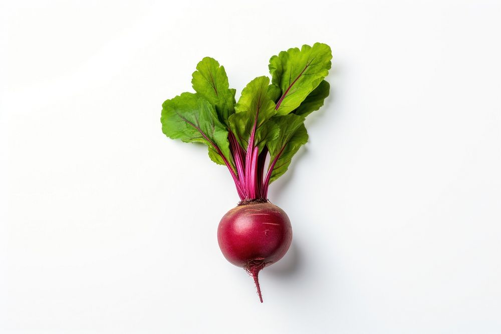 Beetroot vegetable radish plant. AI generated Image by rawpixel.