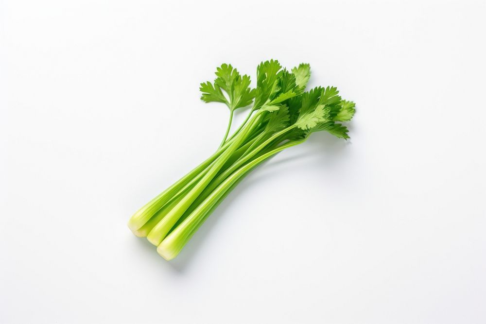 Celery parsley plant herbs. AI generated Image by rawpixel.