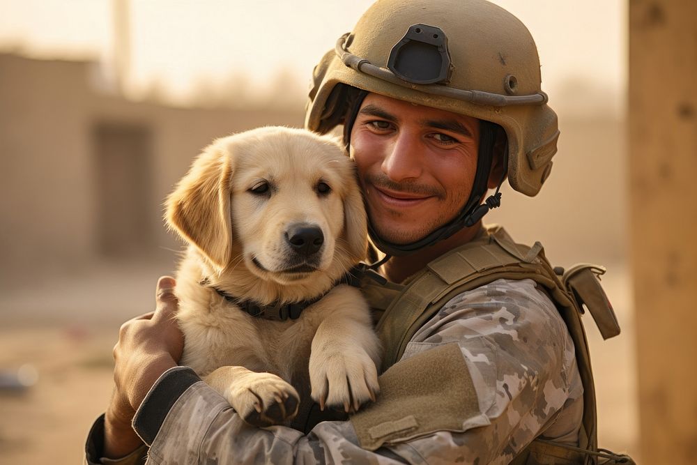 Vet military soldier animal. AI generated Image by rawpixel.