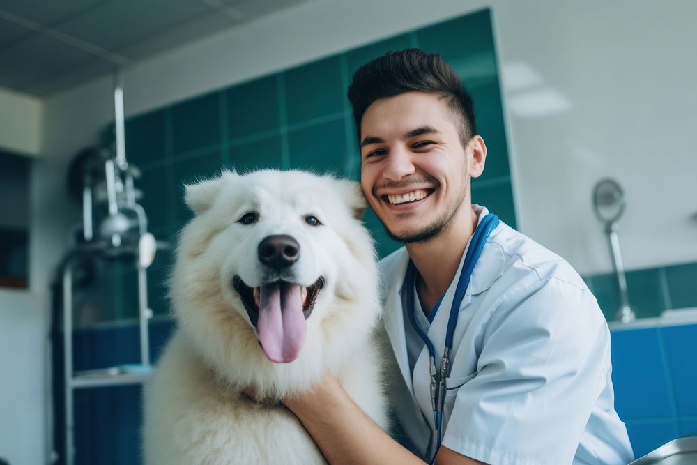 Veterinarian dog mammal animal. 