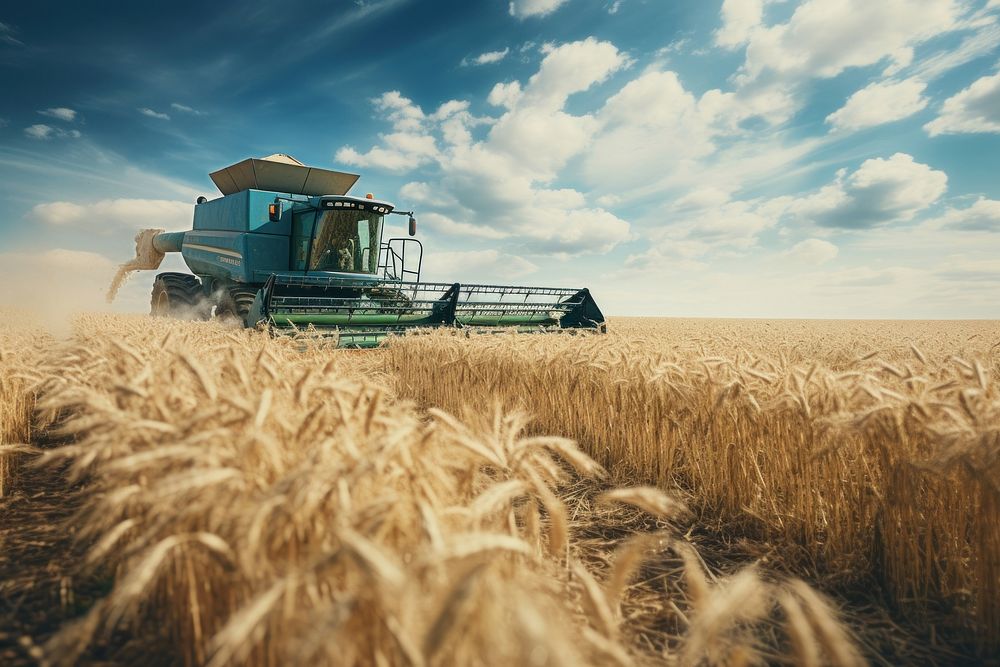 Farming agriculture outdoors harvest. AI generated Image by rawpixel.