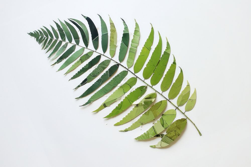 Leaf fern plant nature. AI generated Image by rawpixel.